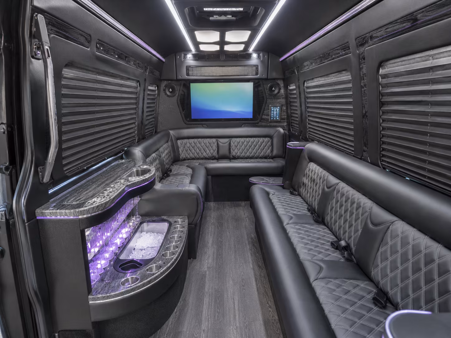las cruces 18 passenger party bus inside